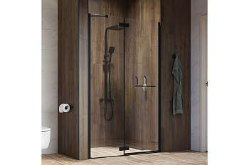 Душевая дверь распашная Slide черный ал.проф., 120*195,  IDDIS SLI6BH2i69