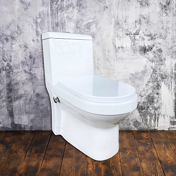 Унитаз EVA GOLD Монолит 705B со встроенным биде, крышка дюропласт (с гофрой и подводкой) 