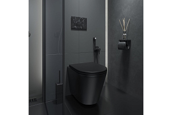 Унитаз подвесной IDDIS Calipso, безободковый, черный матовый, CALR3BMi25